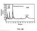Fig. 09 - Therapeutic enzyme formulations and uses thereof in celiac sprue and/or dermatitis herpetoformis