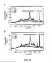 Fig. 11 - Therapeutic enzyme formulations and uses thereof in celiac sprue and/or dermatitis herpetoformis