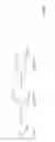 Fig. 07 - IMMUNOSTIMULATORY OLIGONUCLEOTIDE MULTIMERS