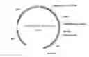 Fig. 01 - Antibodies specific for Dkk-1