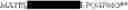 Fig. 167 - Ra Antigenic Peptides