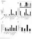 Fig. 05 - Methods for inhibiting tumor cell growth