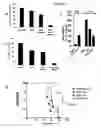 Fig. 07 - Methods for inhibiting tumor cell growth