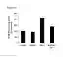 Fig. 24 - Methods for inhibiting tumor cell growth
