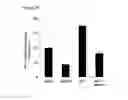 Fig. 25 - Methods for inhibiting tumor cell growth