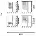 Fig. 02 - DENDRITIC CELL POTENTIATION