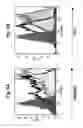 Fig. 06 - DENDRITIC CELL POTENTIATION