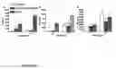 Fig. 03 - Method for Stimulating the Immune Response of Newborns