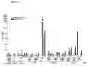 Fig. 15 - Method for Stimulating the Immune Response of Newborns