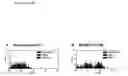 Fig. 20 - Method for Stimulating the Immune Response of Newborns