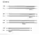 Fig. 03 - Contraceptives based on SP22 and SP22 antibodies