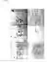 Fig. 05 - Contraceptives based on SP22 and SP22 antibodies
