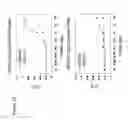 Fig. 24 - Contraceptives based on SP22 and SP22 antibodies