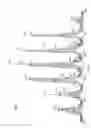 Fig. 10 - Influenza vaccine formulation