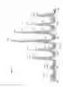 Fig. 12 - Influenza vaccine formulation