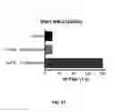 Fig. 23 - Influenza vaccine formulation