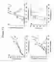 Fig. 12 - Method for preparing a stable immunogenic product comprising antigenic heterocomplexes of TNFα and a carrier protein