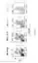 Fig. 11 - Methods and compositions for treatment of hematologic cancers