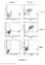 Fig. 17 - Methods and compositions for treatment of hematologic cancers