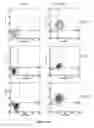 Fig. 18 - Methods and compositions for treatment of hematologic cancers