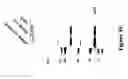 Fig. 18 - Recombinant MVA viruses expressing clade A/G, clade B, and clade C modified HIV env, gag and pol genes