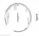 Fig. 22 - Recombinant MVA viruses expressing clade A/G, clade B, and clade C modified HIV env, gag and pol genes