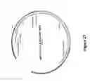 Fig. 30 - Recombinant MVA viruses expressing clade A/G, clade B, and clade C modified HIV env, gag and pol genes