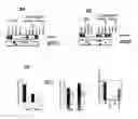 Fig. 03 - Variant Polypeptide and Screening Assay