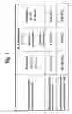 Fig. 03 - Chemoprotective methods