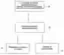 Fig. 01 - Dried Formulations of Nanoparticle-Coated Capsules
