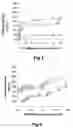 Fig. 03 - Dried Formulations of Nanoparticle-Coated Capsules