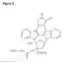 Fig. 03 - Polymer conjugates of K-252A and derivatives thereof