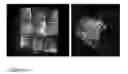 Fig. 14 - Cell-Laden Hydrogels