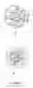 Fig. 02 - Polymeric nanoparticles by ion-ion Interactions