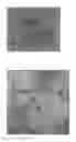 Fig. 02 - Pain relief composition comprising paramagnetic silver nanoparticles