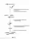 Fig. 05 - HARNESSING WNT SIGNALING TO RESTRICT HIV REPLICATION