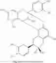 Fig. 03 - Extracts of Ginkgo Biloba