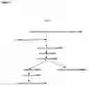 Fig. 06 - Extracts and methods comprising curcuma species
