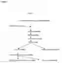 Fig. 07 - Extracts and methods comprising curcuma species