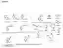 Fig. 81 - Extracts and methods comprising curcuma species