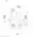 Fig. 02 - Back-up for a HPHT apparatus