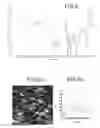 Fig. 04 - Method for preparing an organic film at the surface of a solid support under non-electrochemical conditions, solid support thus obtained and preparation kit