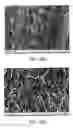Fig. 09 - Method for preparing an organic film at the surface of a solid support under non-electrochemical conditions, solid support thus obtained and preparation kit
