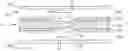 Fig. 01 - Interleaf, in particular for a book-like identity document, process and device for producing an interleaf