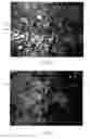 Fig. 02 - Impregnated Foam