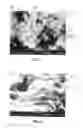 Fig. 02 - Fabrication of composite materials using atomic layer deposition