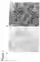 Fig. 02 - Water soluble metal and semiconductor nanoparticle complexes