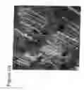 Fig. 12 - Water soluble metal and semiconductor nanoparticle complexes
