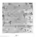 Fig. 04 - Carbonaceous Materials
