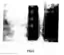 Fig. 04 - Noble Metal Fine Particle Support and Method of Manufacturing the Same